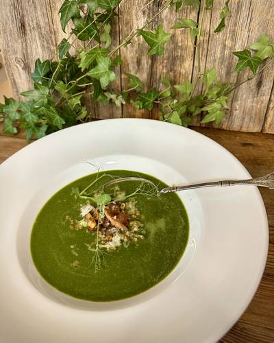 Spinatsuppe 